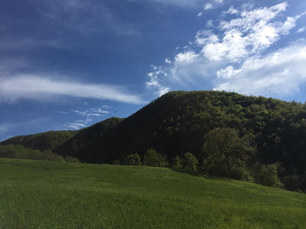 Agriturismo La Ferraia Pianello  Екстериор снимка