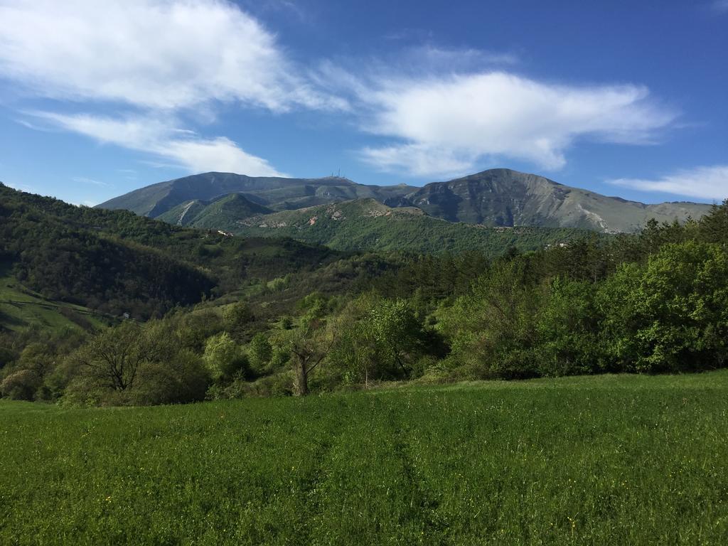 Agriturismo La Ferraia Pianello  Екстериор снимка